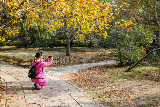 青島中山公園