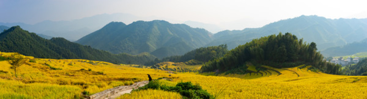 中國十大最美梯清遠(yuǎn)連山歐家梯田