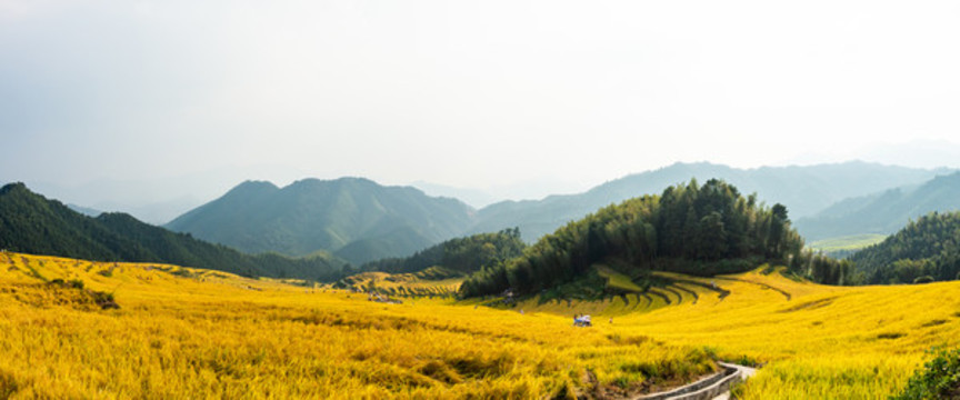 中國十大最美梯清遠(yuǎn)連山歐家梯田