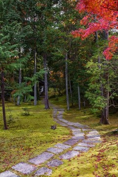 日本京都寺廟園林和樹林里的小路