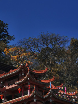 寺廟