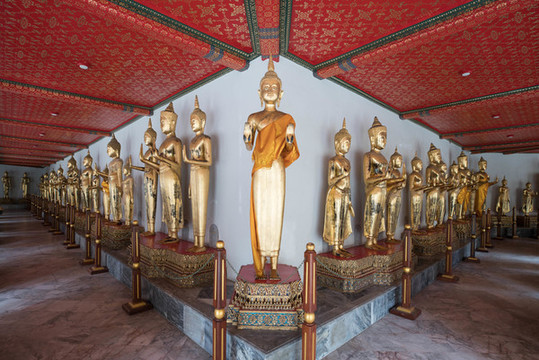 泰國曼谷臥佛寺里一排金色佛像