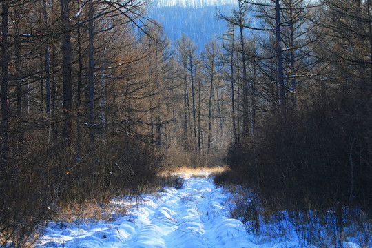 林海雪原崎嶇山路