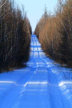 林海雪原山路