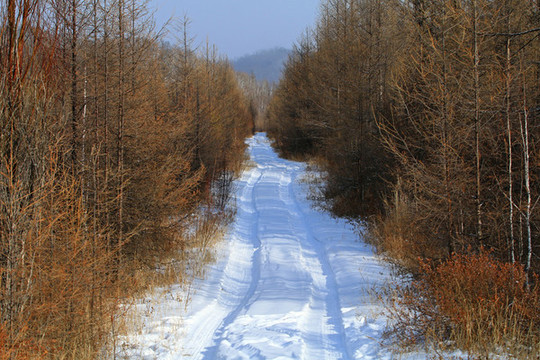 林海雪原崎嶇山路