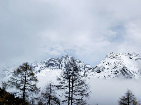 雪景