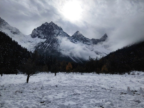 雪地
