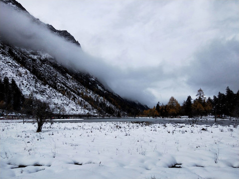 雪地