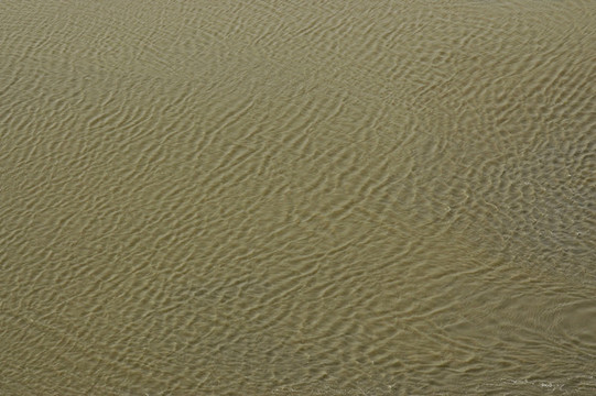 波光粼粼的水面