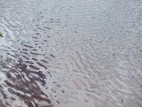 平靜的水面