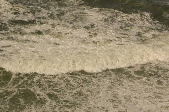 海岸線