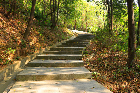 山路階梯臺階