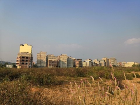 廣西欽州市小董鎮(zhèn)圖片