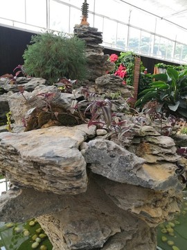 廣西南寧市桂景園植物學(xué)栽培