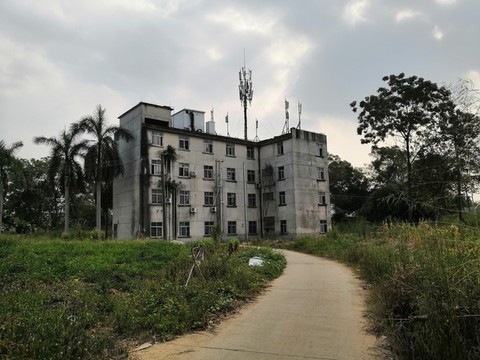 廣西南寧市桂景園植物學