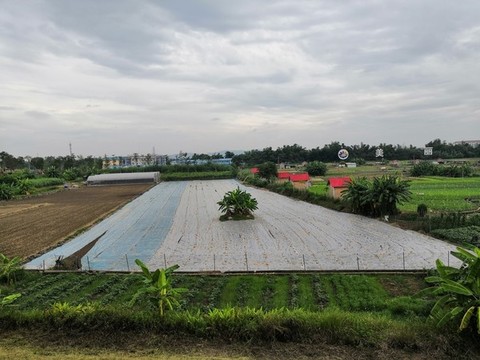 廣西南寧市青瓦村古部落