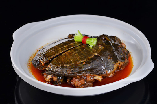 甲魚