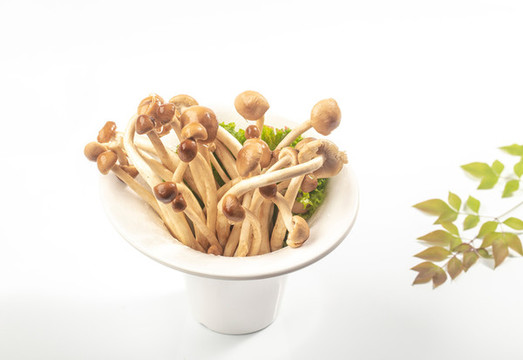 火鍋配菜茶樹菇