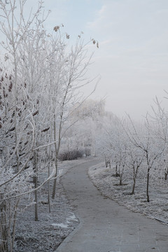 冬季雪景