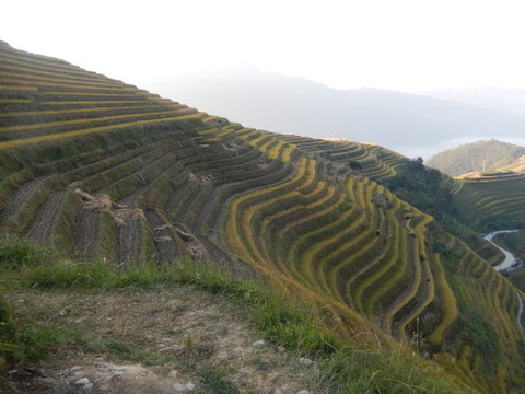 龍脊小景