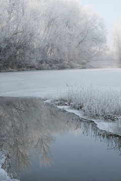 冬季雪景