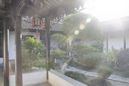 蘇州忠王府庭院景觀