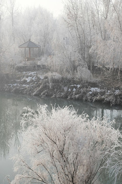 雪景
