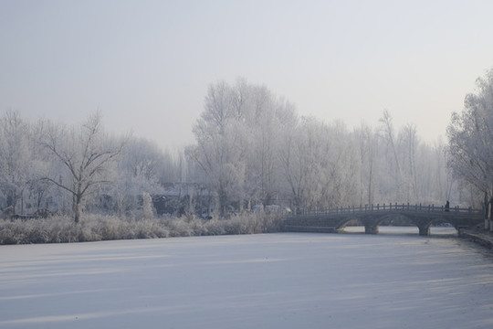 雪林