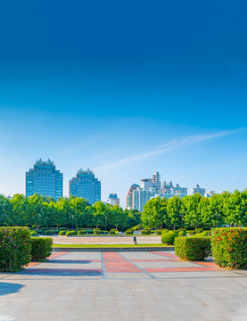 上海世紀(jì)公園風(fēng)光