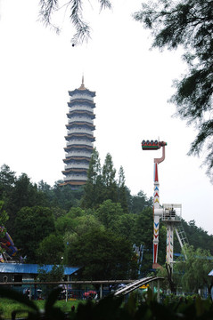 公園里的重陽塔