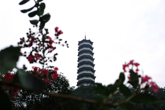 公園山頂上的重陽塔