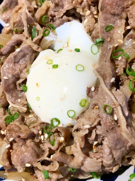 牛丼飯