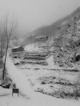 秦嶺雪山