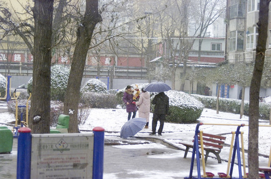雪中的健身器材
