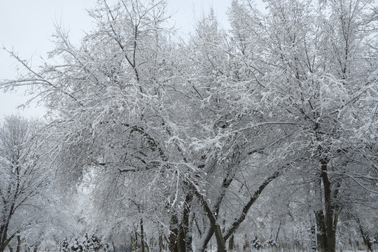 雪凇