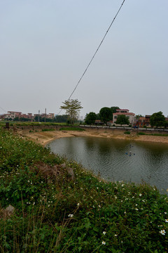 鄉(xiāng)村池塘