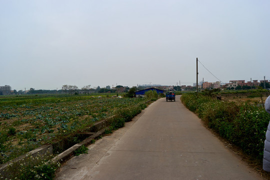 農(nóng)田春耕