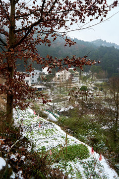 衡山度假村