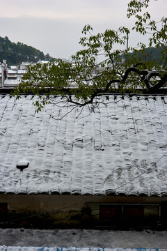 雪景