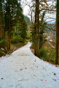 雪道
