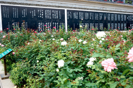 寶墨園玫瑰園