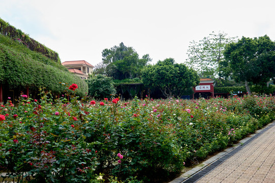 寶墨園玫瑰園