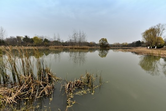 冬季河流
