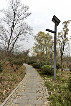 冬季公園小路