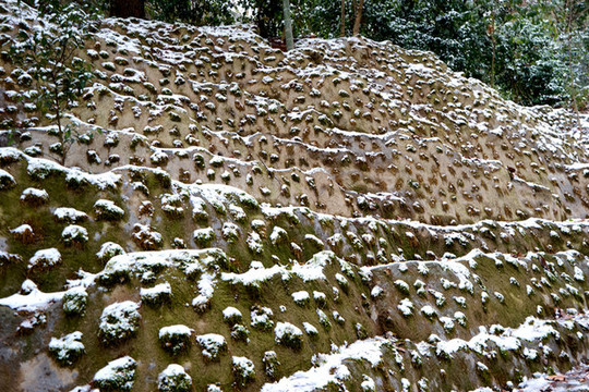 積雪