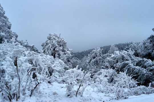 積雪雪景