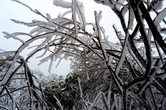 積雪雪景
