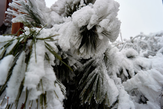 積雪雪景