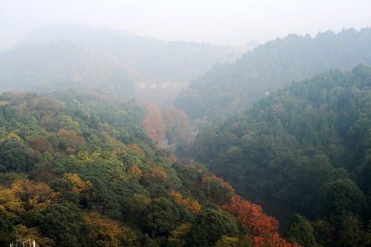山林晨霧