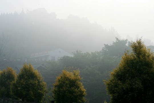 山中晨霧